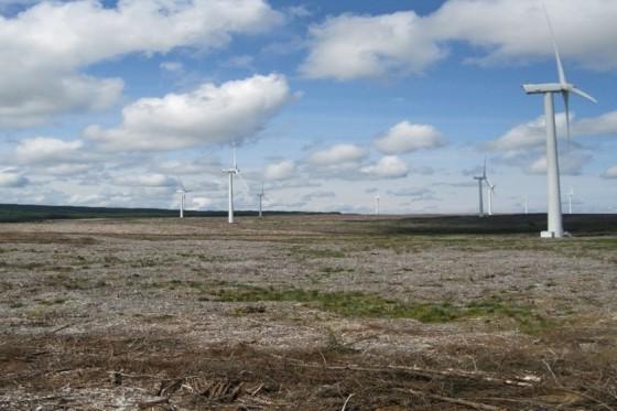 Mark_Hill_Windfarm_560x373